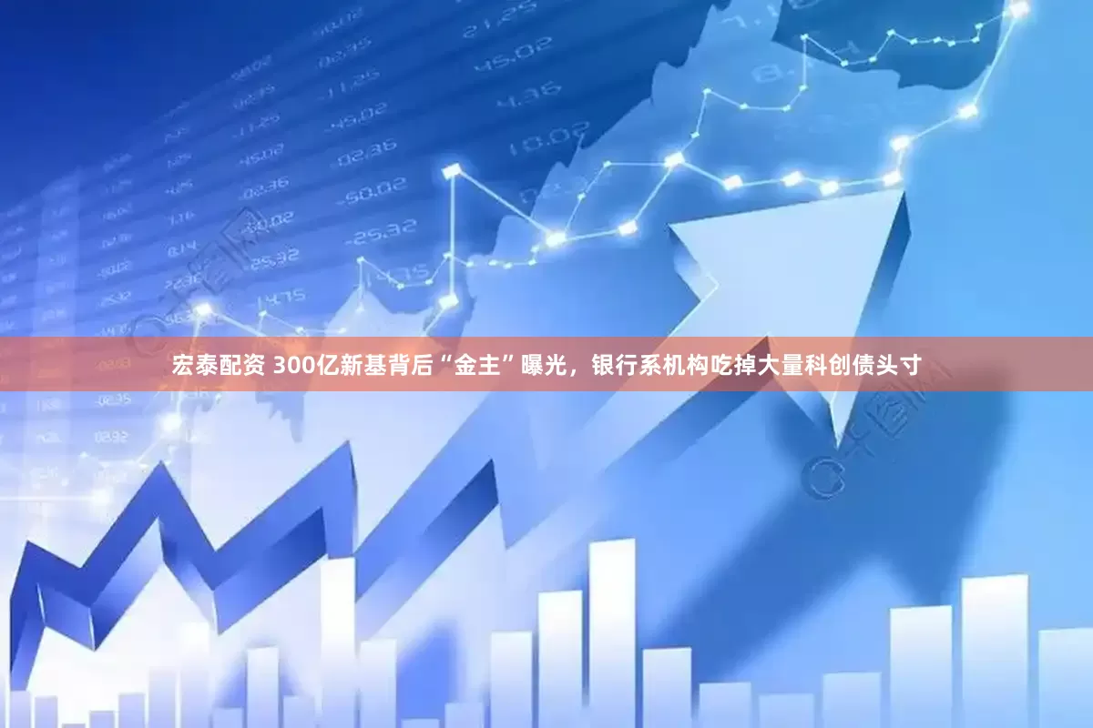宏泰配资 300亿新基背后“金主”曝光，银行系机构吃掉大量科创债头寸
